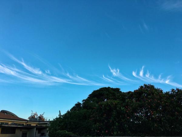 Some Wispy Clouds